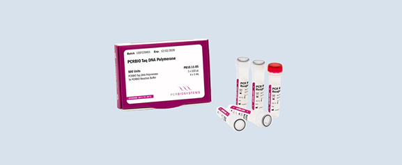 PCR Reagents